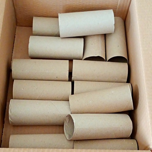 Cardboard paper tubes - paper, craft