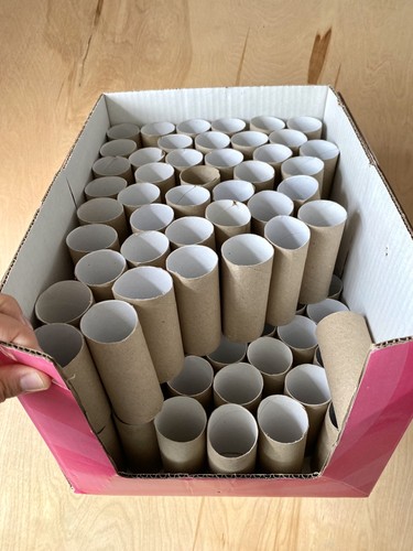 Empty toilet tubes - empty,