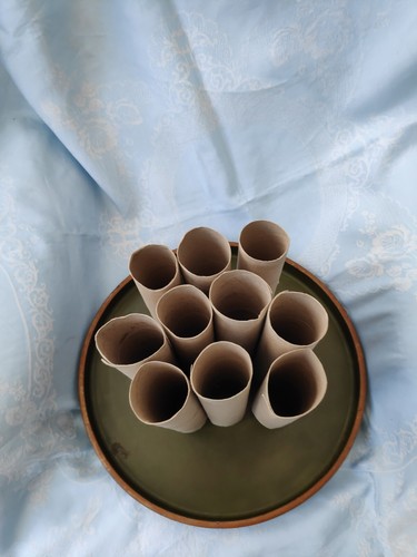 Empty kitchen paper roll - 10,