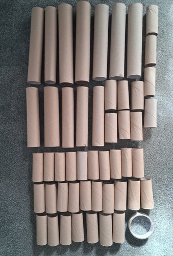 Clean cardboard toilet - 50,