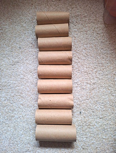 Empty cardboard toilet - 9, paper