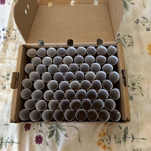 Empty toilet paper rolls - x,