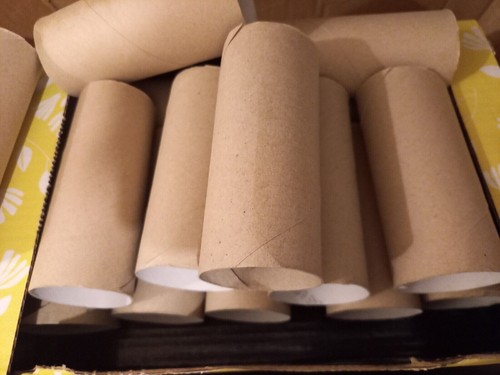 Empty toilet paper - 25,