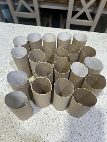 Cardboard craft tubes - cardboard,
