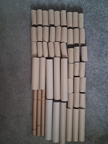 Empty clean cardboard - 50,