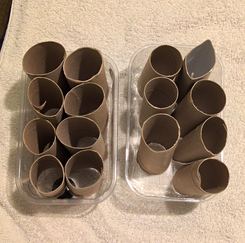 Cardboard toilet paper - paper, roll