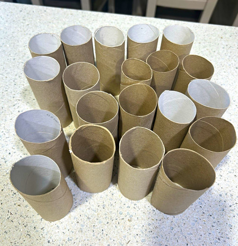 Cardboard craft tubes - craft,