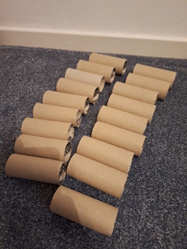 Empty toilet roll tubes - 18,